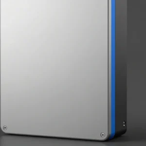 Virtual Disk 2 TB